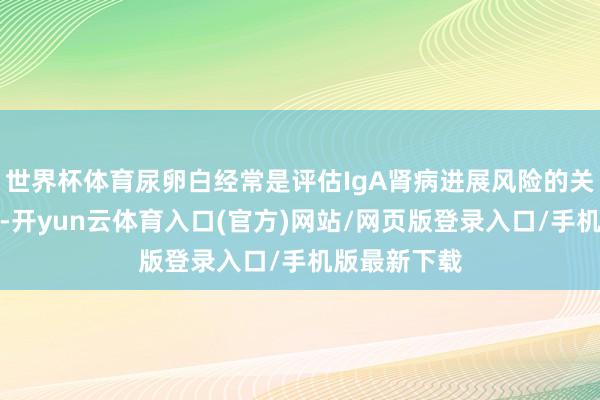 世界杯体育尿卵白经常是评估IgA肾病进展风险的关节替代荒谬-开yun云体育入口(官方)网站/网页版登录入口/手机版最新下载