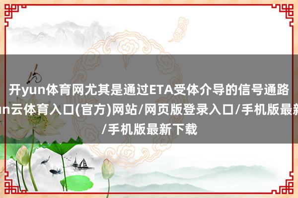 开yun体育网尤其是通过ETA受体介导的信号通路-开yun云体育入口(官方)网站/网页版登录入口/手机版最新下载