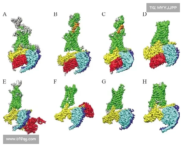 冰虫鳞片的结构与功能特性研究进展及其在生物学中的应用 冰虫鳞片的结构与功能特性研究进展及其在生物学中的应用